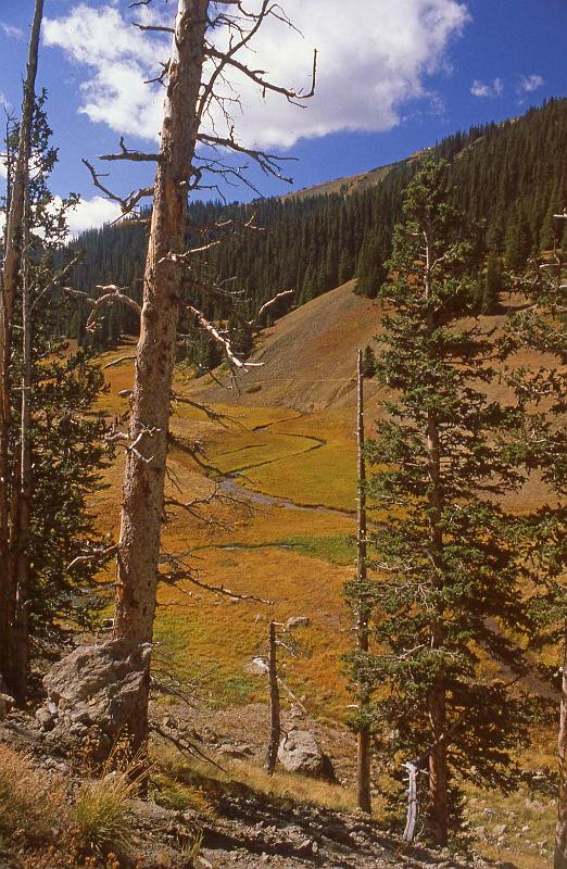 1980-09 Rocky Mtn NP 006 Grand Park.jpg